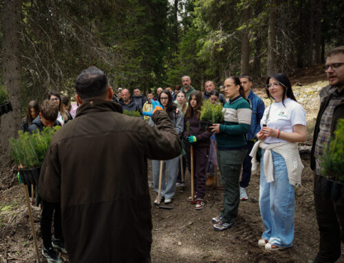 The Markov Kamen hiking trail and the ATV trail are temporarily closed.